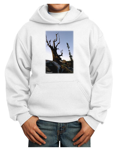 Colorado Mountain Scenery Youth Hoodie Pullover Sweatshirt-Youth Hoodie-TooLoud-White-XS-Davson Sales