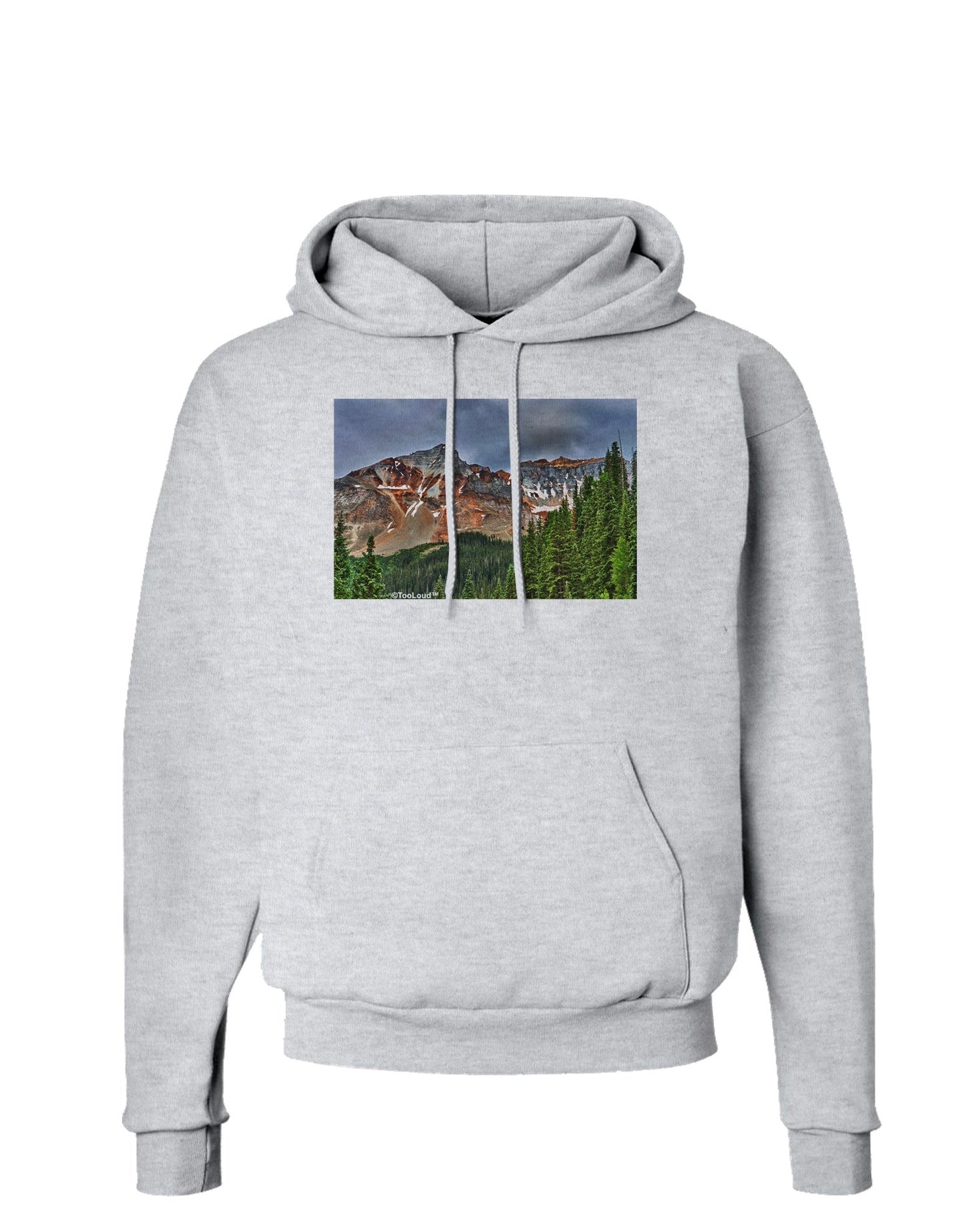 Colorado Mountains Forrest Hoodie Sweatshirt-Hoodie-TooLoud-AshGray-Small-Davson Sales