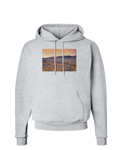 Colorado Sand Dunes Hoodie Sweatshirt-Hoodie-TooLoud-AshGray-Small-Davson Sales