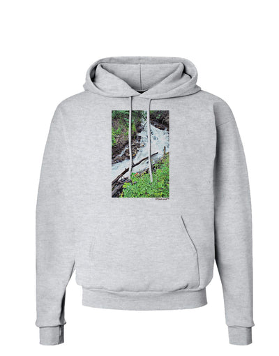 Colorado White River Hoodie Sweatshirt-Hoodie-TooLoud-AshGray-Small-Davson Sales