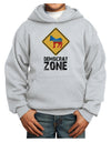 Democrat Zone Youth Hoodie Pullover Sweatshirt-Youth Hoodie-TooLoud-Ash-XS-Davson Sales