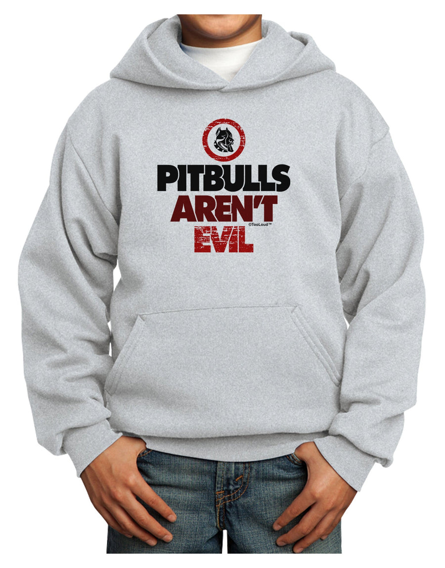 Distressed Pitbulls Aren't Evil Youth Hoodie Pullover Sweatshirt-Youth Hoodie-TooLoud-White-XS-Davson Sales