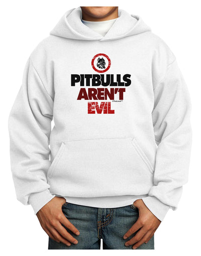 Distressed Pitbulls Aren't Evil Youth Hoodie Pullover Sweatshirt-Youth Hoodie-TooLoud-White-XS-Davson Sales