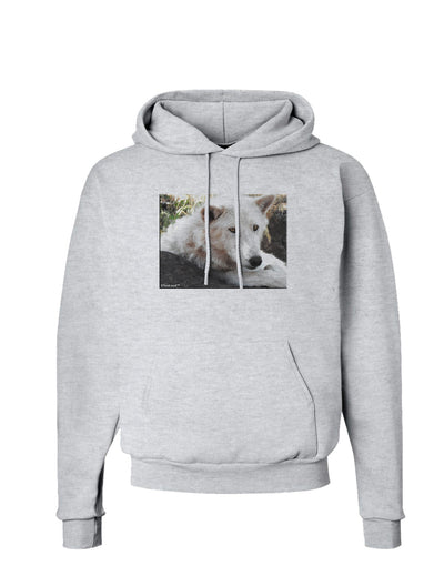 Laying White Wolf Hoodie Sweatshirt-Hoodie-TooLoud-AshGray-Small-Davson Sales