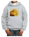 Lion Watercolor 3 Youth Hoodie Pullover Sweatshirt-Youth Hoodie-TooLoud-Ash-XS-Davson Sales