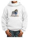 Lion Watercolor B Youth Hoodie Pullover Sweatshirt-Youth Hoodie-TooLoud-White-XS-Davson Sales