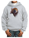 Majestic Bighorn Ram Youth Hoodie Pullover Sweatshirt-Youth Hoodie-TooLoud-Ash-XS-Davson Sales