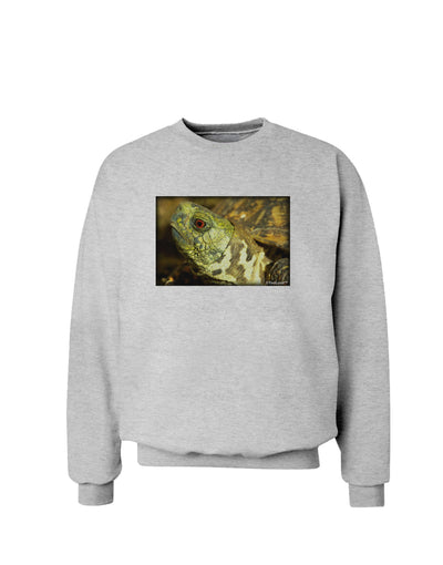 Menacing Turtle Sweatshirt-Sweatshirts-TooLoud-AshGray-Small-Davson Sales