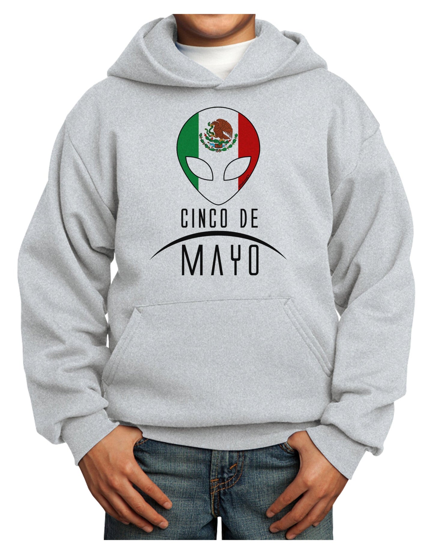 Mexican Extraterrestrial Text Youth Hoodie Pullover Sweatshirt-Youth Hoodie-TooLoud-Ash-XS-Davson Sales