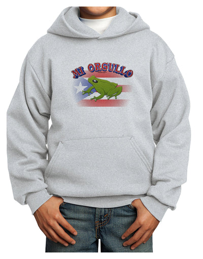 Mi Orgullo Coqui Youth Hoodie Pullover Sweatshirt-Youth Hoodie-TooLoud-Ash-XS-Davson Sales