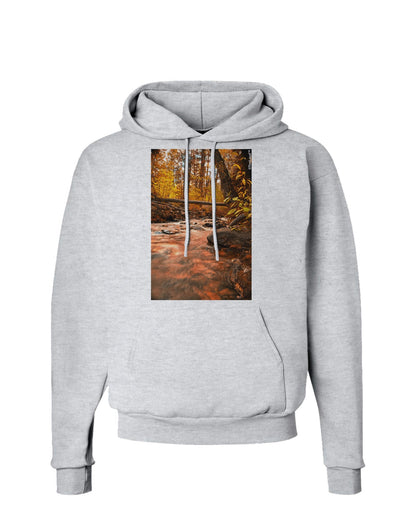 Mt Shavano Colorado Hoodie Sweatshirt-Hoodie-TooLoud-AshGray-Small-Davson Sales