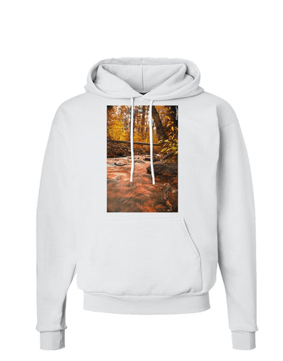 Mt Shavano Colorado Hoodie Sweatshirt-Hoodie-TooLoud-White-Small-Davson Sales