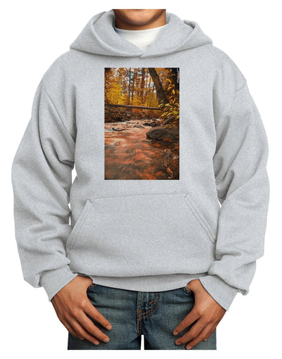 Mt Shavano Colorado Youth Hoodie Pullover Sweatshirt-Youth Hoodie-TooLoud-Ash-XS-Davson Sales