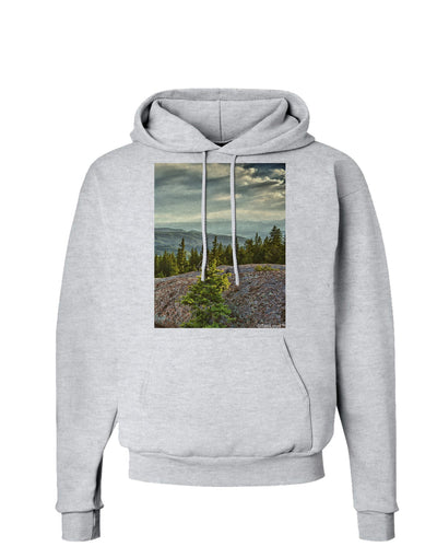 Nature Photography - Pine Kingdom Hoodie Sweatshirt by-Hoodie-TooLoud-AshGray-Small-Davson Sales