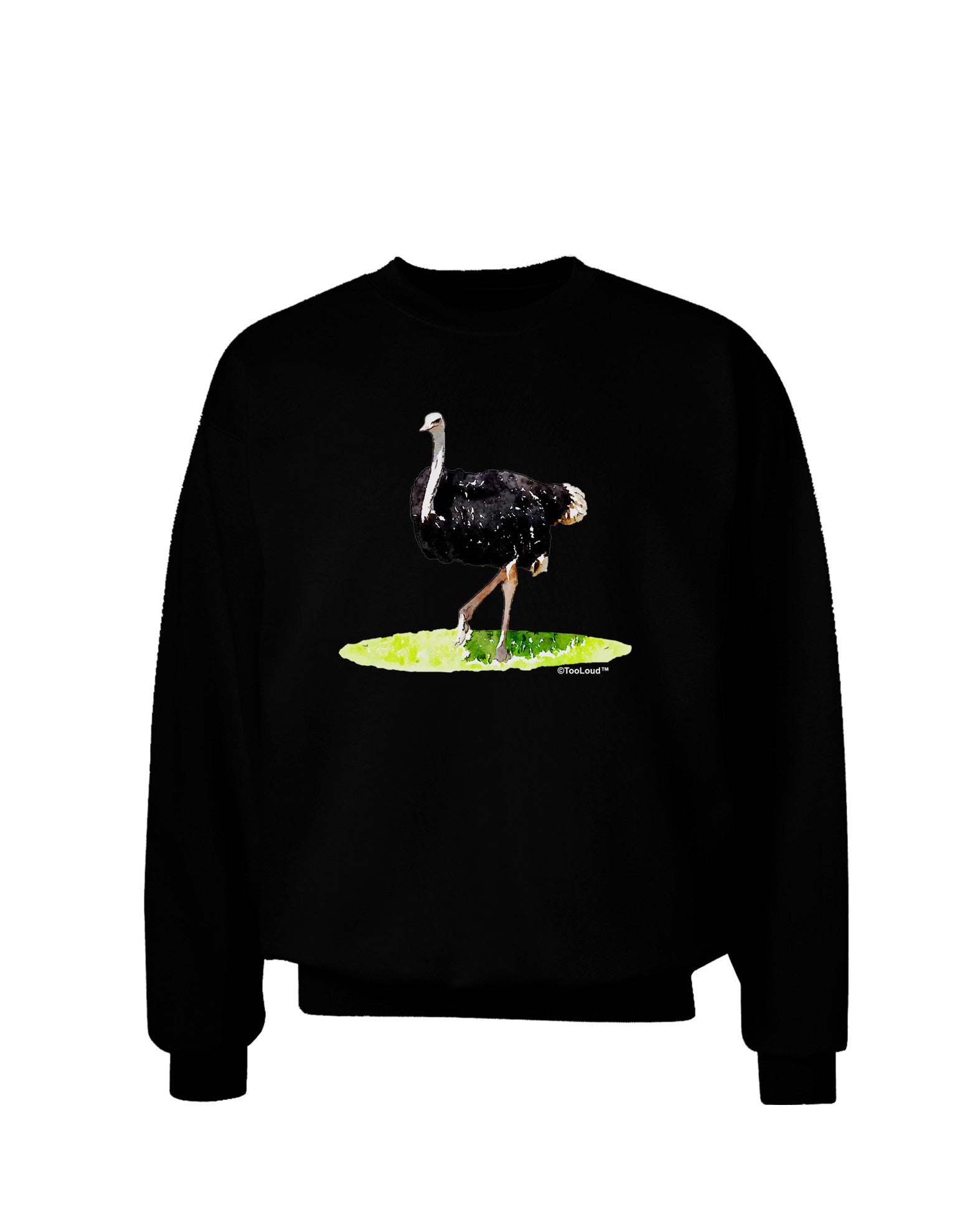 Ostrich Watercolor Adult Dark Sweatshirt-Sweatshirts-TooLoud-Black-Small-Davson Sales