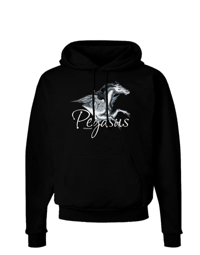 Pegasus Color Illustration Dark Hoodie Sweatshirt-Hoodie-TooLoud-Black-Small-Davson Sales