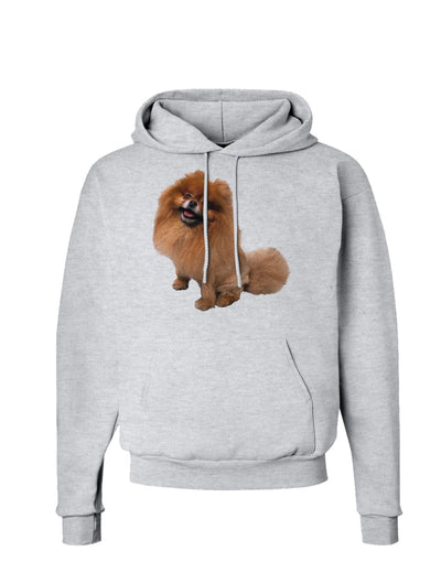 Pomeranian Sitting All Cute-Like Hoodie Sweatshirt-Hoodie-TooLoud-AshGray-Small-Davson Sales