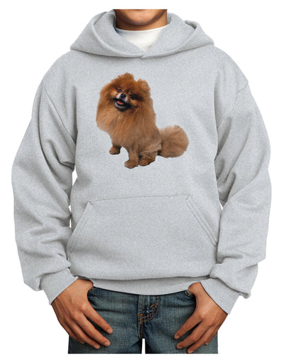 Pomeranian Sitting All Cute-Like Youth Hoodie Pullover Sweatshirt-Youth Hoodie-TooLoud-Ash-XS-Davson Sales