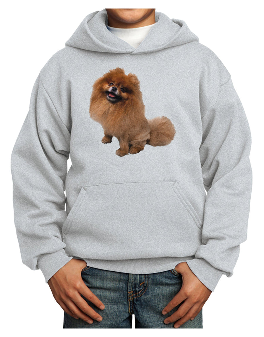 Pomeranian Sitting All Cute-Like Youth Hoodie Pullover Sweatshirt-Youth Hoodie-TooLoud-White-XS-Davson Sales