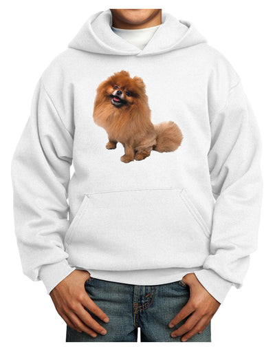 Pomeranian Sitting All Cute-Like Youth Hoodie Pullover Sweatshirt-Youth Hoodie-TooLoud-White-XS-Davson Sales