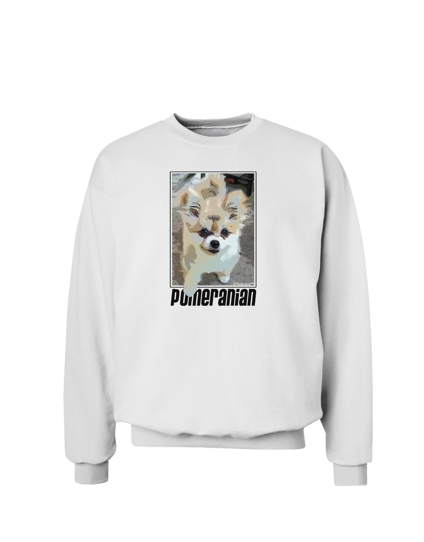 Pomeranian Step Out Sweatshirt by TooLoud-Sweatshirts-TooLoud-White-Small-Davson Sales