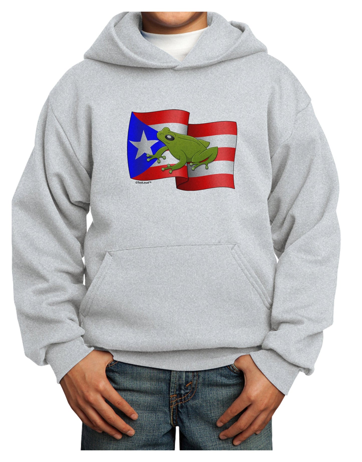 Puerto Rico Coqui Youth Hoodie Pullover Sweatshirt-Youth Hoodie-TooLoud-Ash-XS-Davson Sales