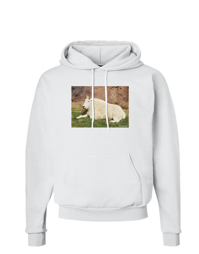 Relaxing Ram Hoodie Sweatshirt-Hoodie-TooLoud-White-Small-Davson Sales