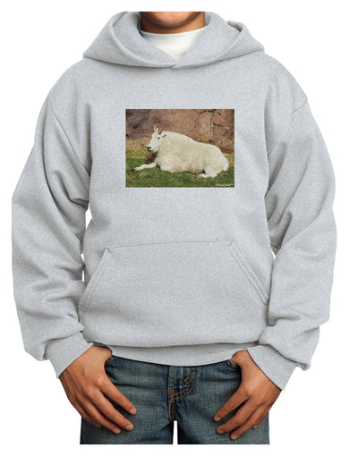 Relaxing Ram Youth Hoodie Pullover Sweatshirt-Youth Hoodie-TooLoud-Ash-XS-Davson Sales