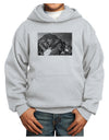 San Juan Mountain Range 2 Youth Hoodie Pullover Sweatshirt-Youth Hoodie-TooLoud-Ash-XS-Davson Sales