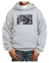 San Juan Mountain Range CO 2 Youth Hoodie Pullover Sweatshirt-Youth Hoodie-TooLoud-Ash-XS-Davson Sales