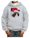 Santa Hat Disgruntled Siamese Cat Youth Hoodie Pullover Sweatshirt by-Youth Hoodie-TooLoud-Ash-XS-Davson Sales