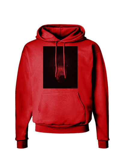 Scary Black Bear Hoodie Sweatshirt-Hoodie-TooLoud-Red-Small-Davson Sales