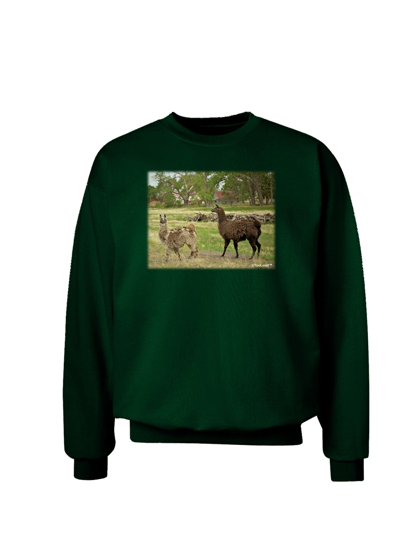 Standing Llamas Adult Dark Sweatshirt by TooLoud-Sweatshirts-TooLoud-Deep-Forest-Green-Small-Davson Sales