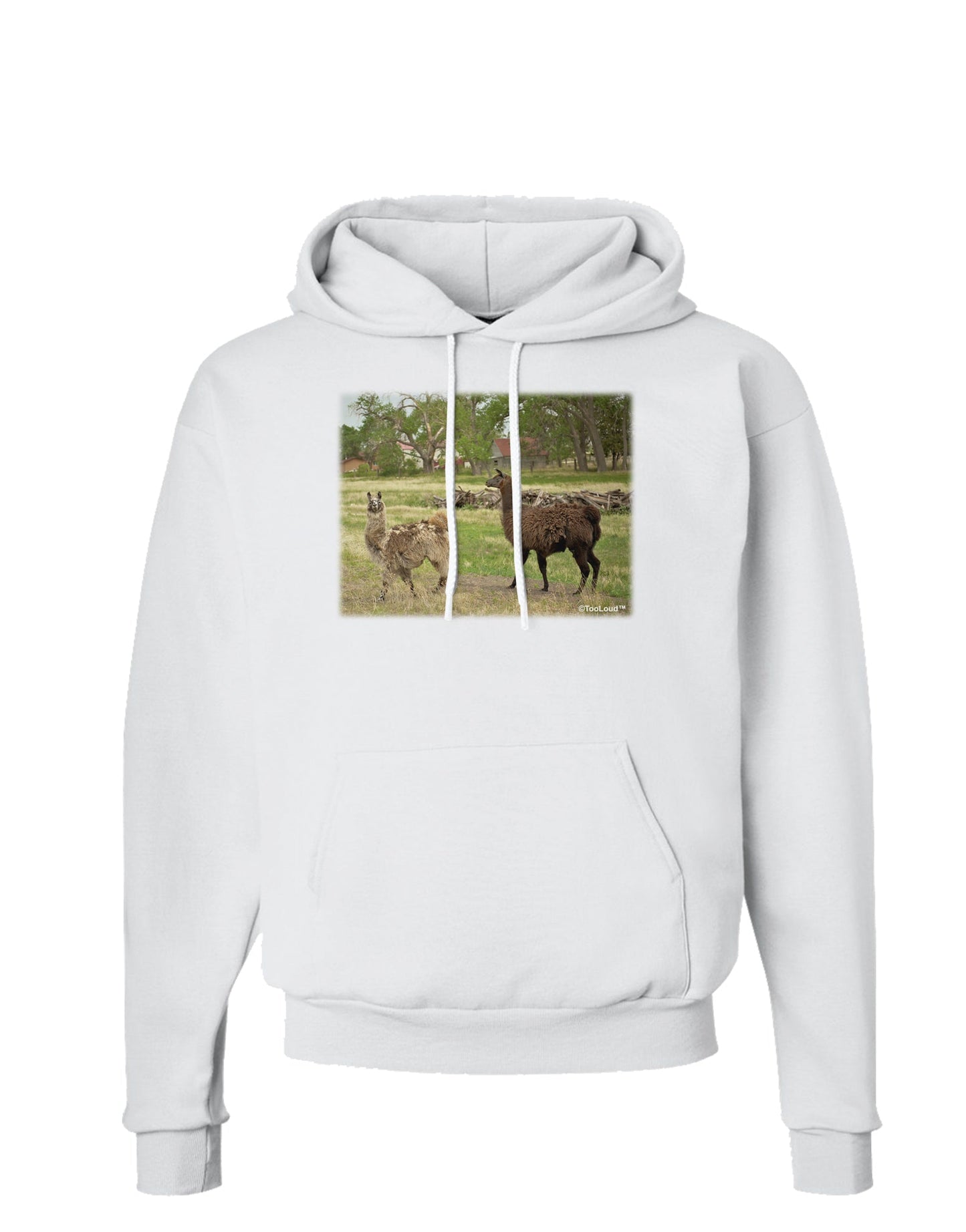 Standing Llamas Hoodie Sweatshirt by TooLoud-Hoodie-TooLoud-White-Small-Davson Sales