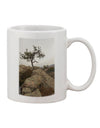 Stone Tree Colorado 11 oz Coffee Mug - Expertly Crafted Drinkware by TooLoud-11 OZ Coffee Mug-TooLoud-White-Davson Sales