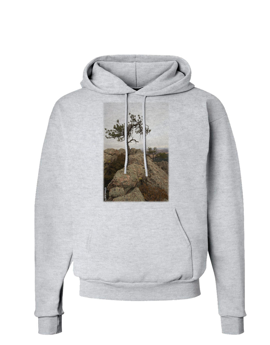 Stone Tree Colorado Hoodie Sweatshirt by TooLoud-Hoodie-TooLoud-White-Small-Davson Sales