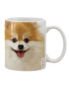 Stylishly Crafted Pomeranian 1 Printed 11 oz Coffee Mug - TooLoud-11 OZ Coffee Mug-TooLoud-White-Davson Sales