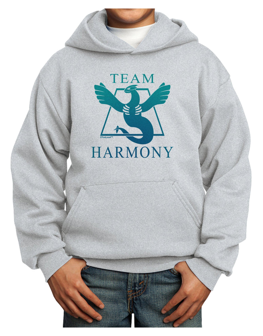 Team Harmony Youth Hoodie Pullover Sweatshirt-Youth Hoodie-TooLoud-White-XS-Davson Sales