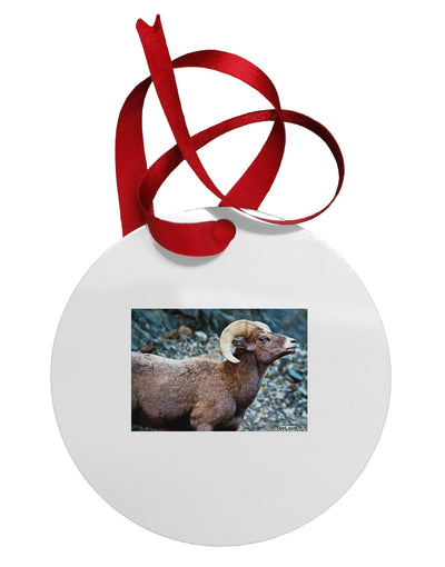 TooLoud Wide Eyed Big Horn Circular Metal Ornament-Ornament-TooLoud-White-Davson Sales