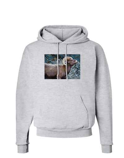 TooLoud Wide Eyed Big Horn Hoodie Sweatshirt-Hoodie-TooLoud-AshGray-Small-Davson Sales