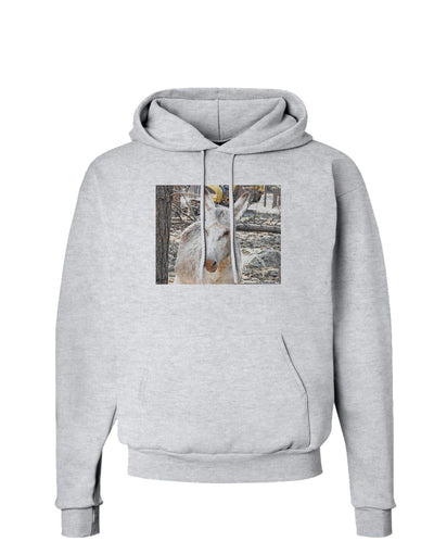 Troubled Burro Hoodie Sweatshirt-Hoodie-TooLoud-AshGray-Small-Davson Sales