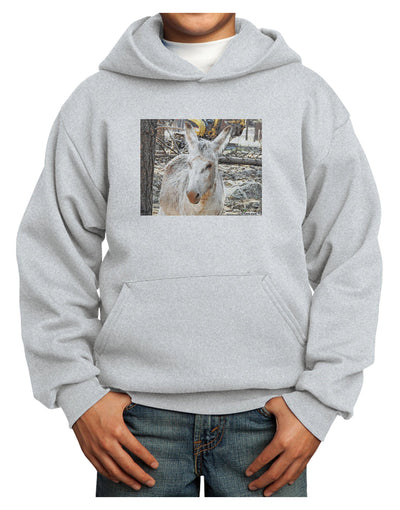 Troubled Burro Youth Hoodie Pullover Sweatshirt-Youth Hoodie-TooLoud-Ash-XS-Davson Sales