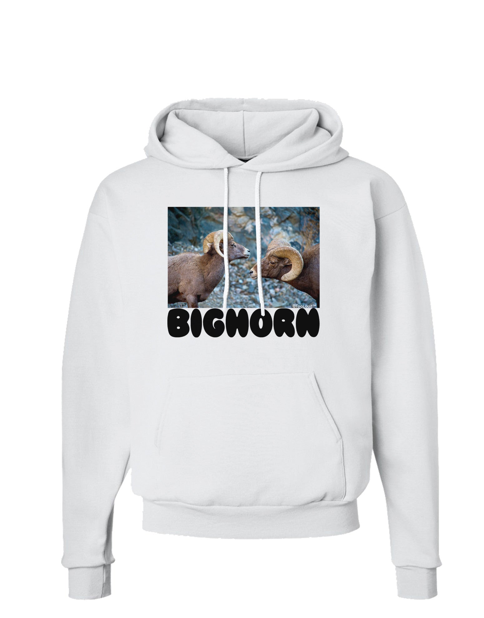 Two Bighorn Rams Text Hoodie Sweatshirt-Hoodie-TooLoud-White-Small-Davson Sales