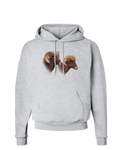 Two Majestic Bighorn Rams Hoodie Sweatshirt-Hoodie-TooLoud-AshGray-Small-Davson Sales