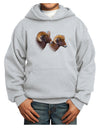 Two Majestic Bighorn Rams Youth Hoodie Pullover Sweatshirt-Youth Hoodie-TooLoud-Ash-XS-Davson Sales