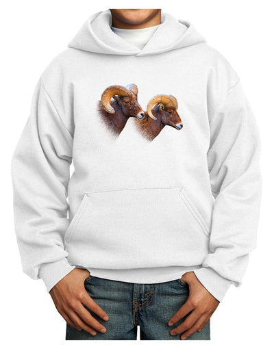 Two Majestic Bighorn Rams Youth Hoodie Pullover Sweatshirt-Youth Hoodie-TooLoud-White-XS-Davson Sales