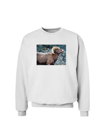 Wide Eyed Big Horn Sweatshirt-Sweatshirts-TooLoud-White-Small-Davson Sales