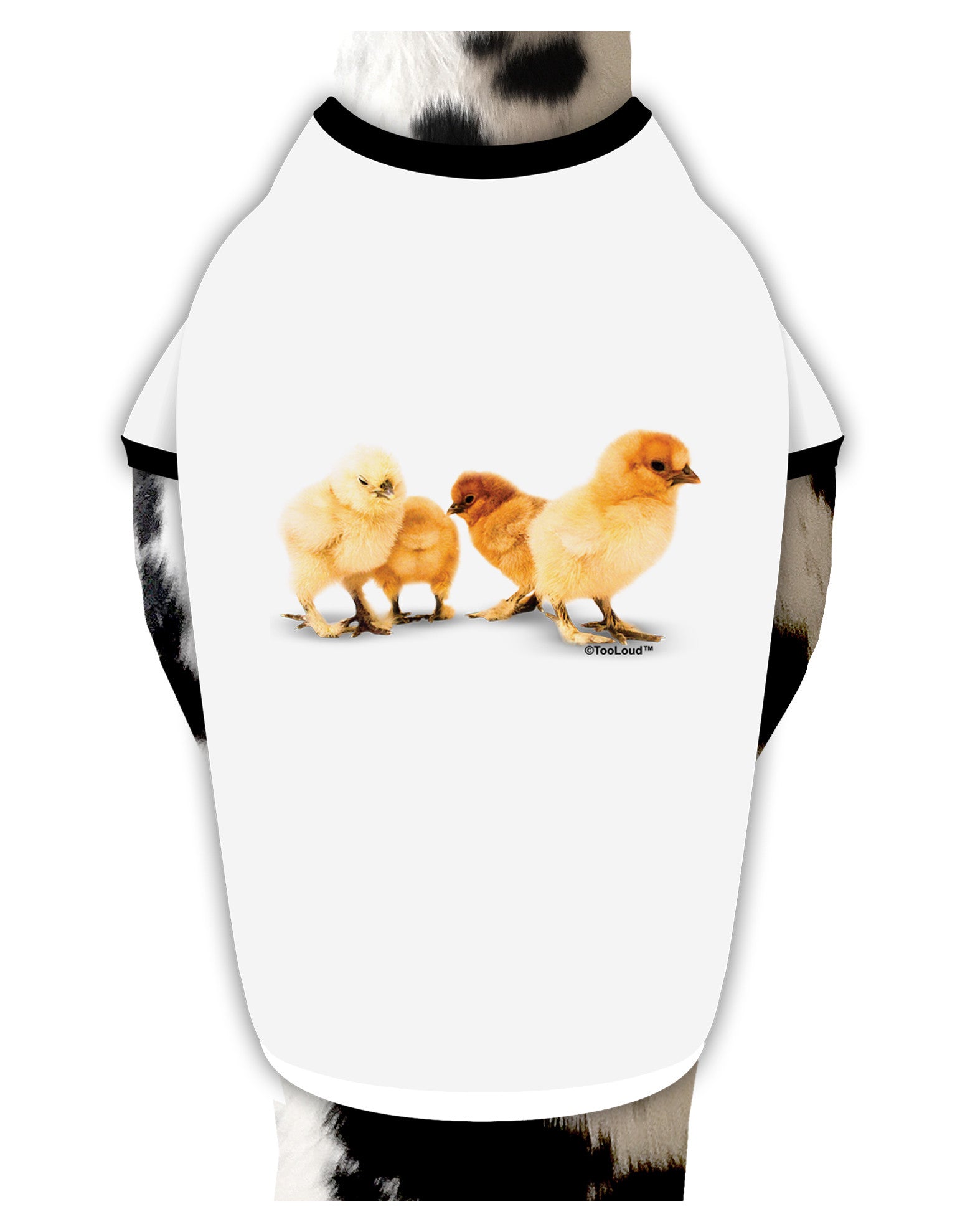 Cute Chicks Dog Shirt-Dog Shirt-TooLoud-White-with-Black-Small-Davson Sales