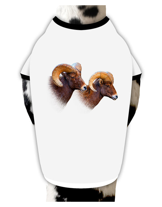 Two Majestic Bighorn Rams Dog Shirt-Dog Shirt-TooLoud-White-with-Black-Small-Davson Sales
