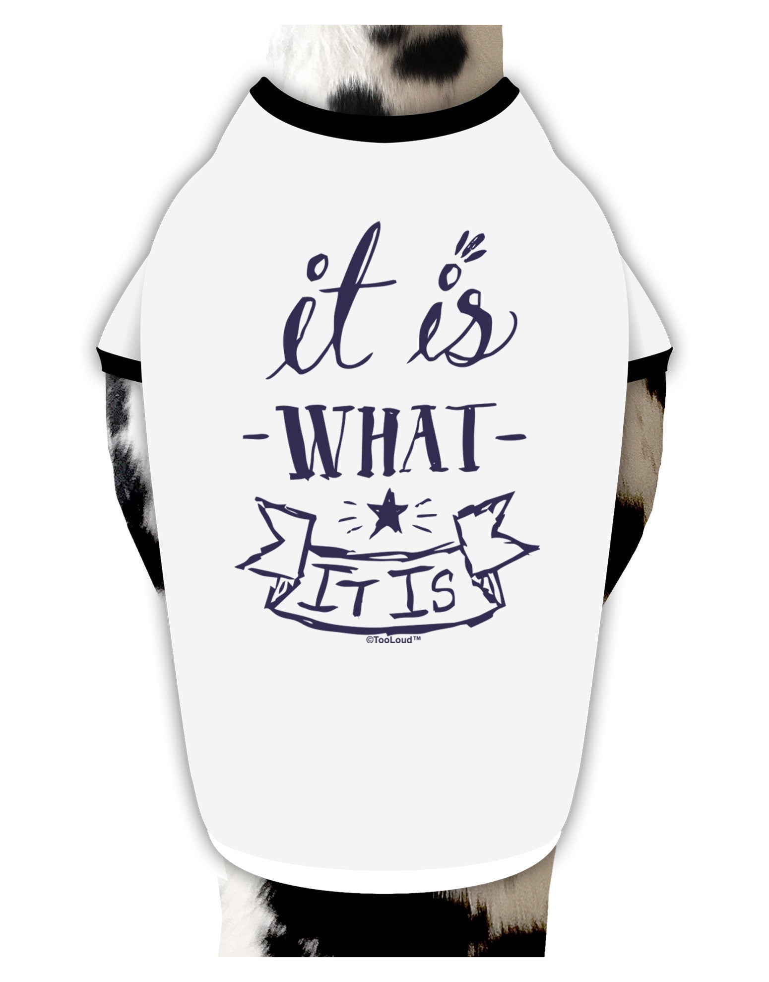 It Is What It Is Dog Shirt-Dog Shirt-TooLoud-White-with-Black-Small-Davson Sales